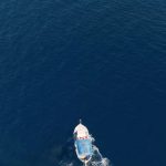 Building Resilient Teams Through Effective Organizational Coaching